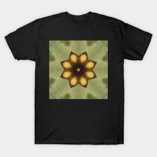 Mandalisa Kaleidoscope [textures] Pattern (Seamless) 1 T-Shirt